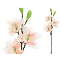 CYMBIDIUM RAMO 3 FIORI CM.52